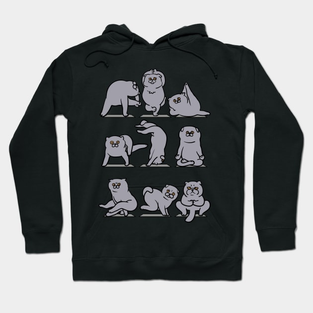 Scottish Fold Yoga Hoodie by huebucket